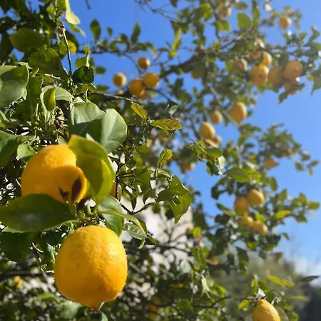 Appartement Proche De La De L'almanarre