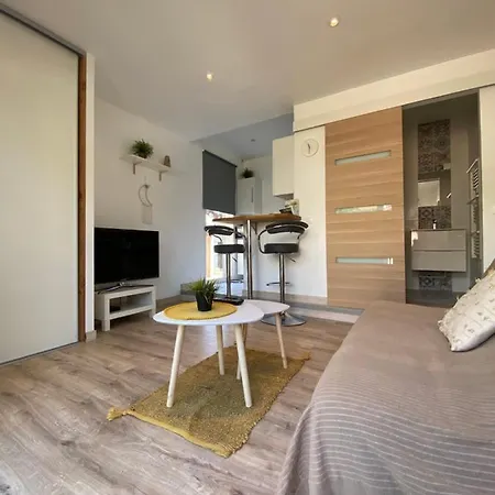 Apartment Proche De La De L'almanarre Hyeres