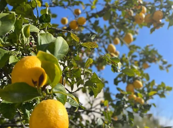 公寓 Proche De La De L'almanarre